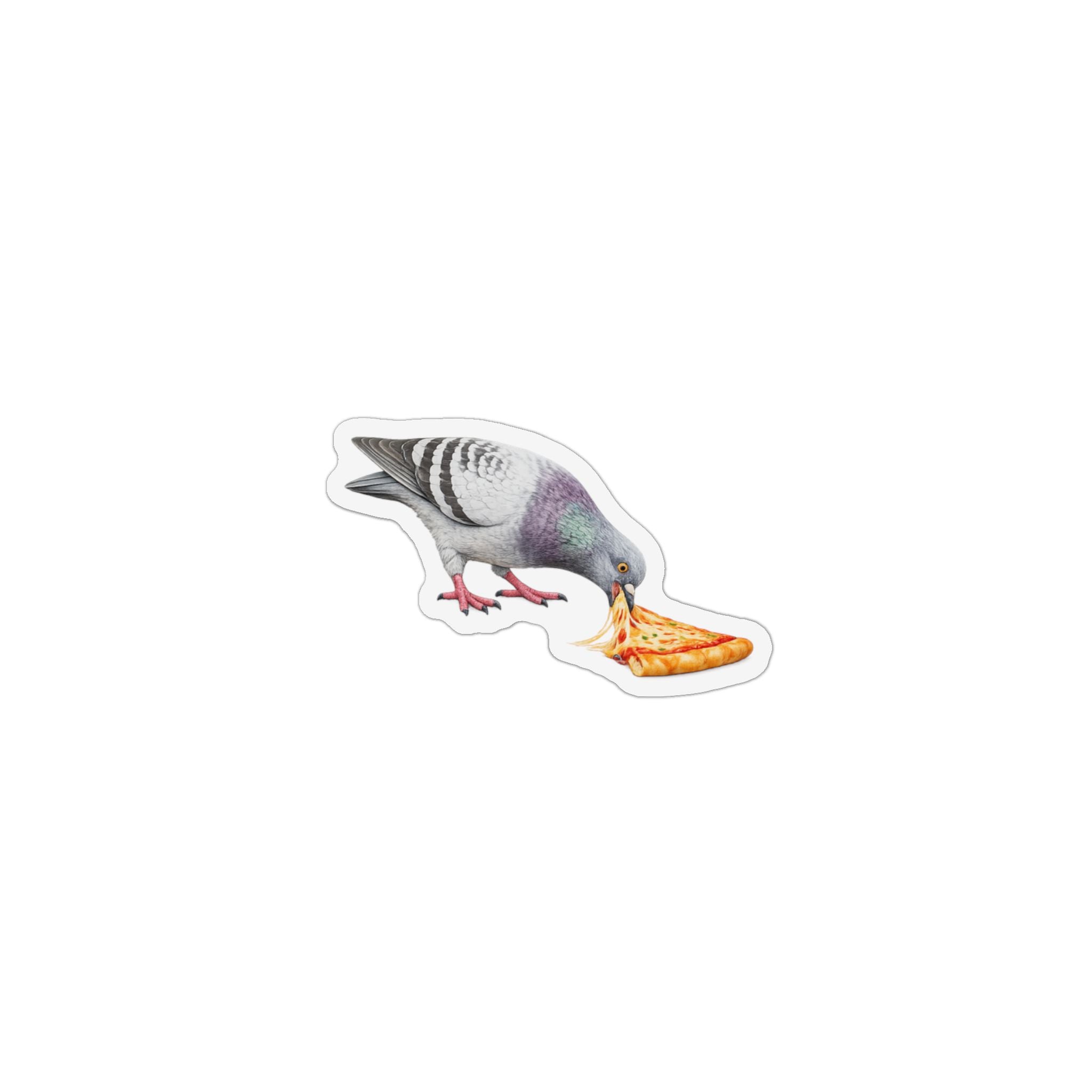 Little Italy NYC Pigeon Magnet | Pizza Lover Bird Lover Fridge Magnet