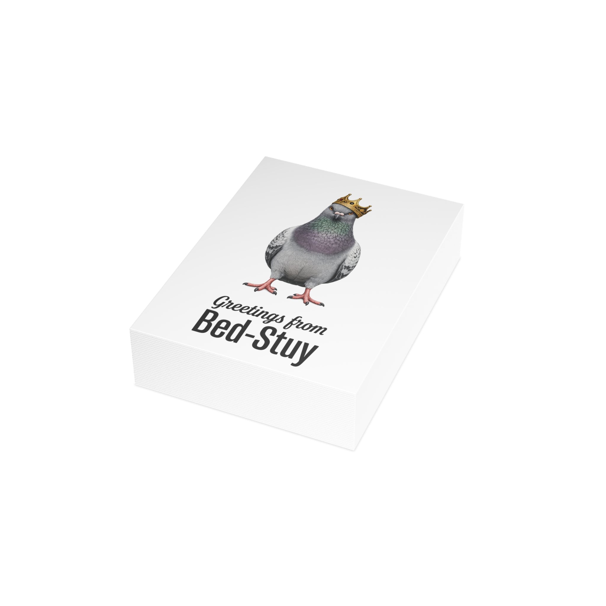 Bed-Stuy NYC Pigeon Postcard Bundle (envelopes included)