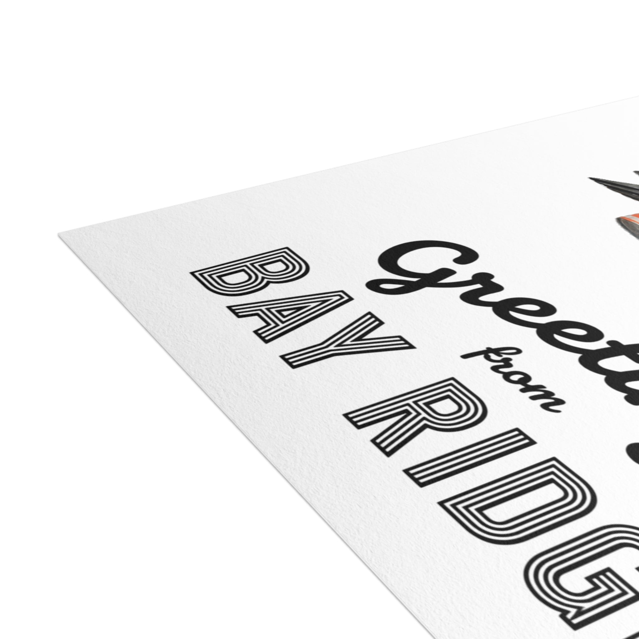 Bay Ridge NYC Pigeon Postcard Bundle (envelopes included)