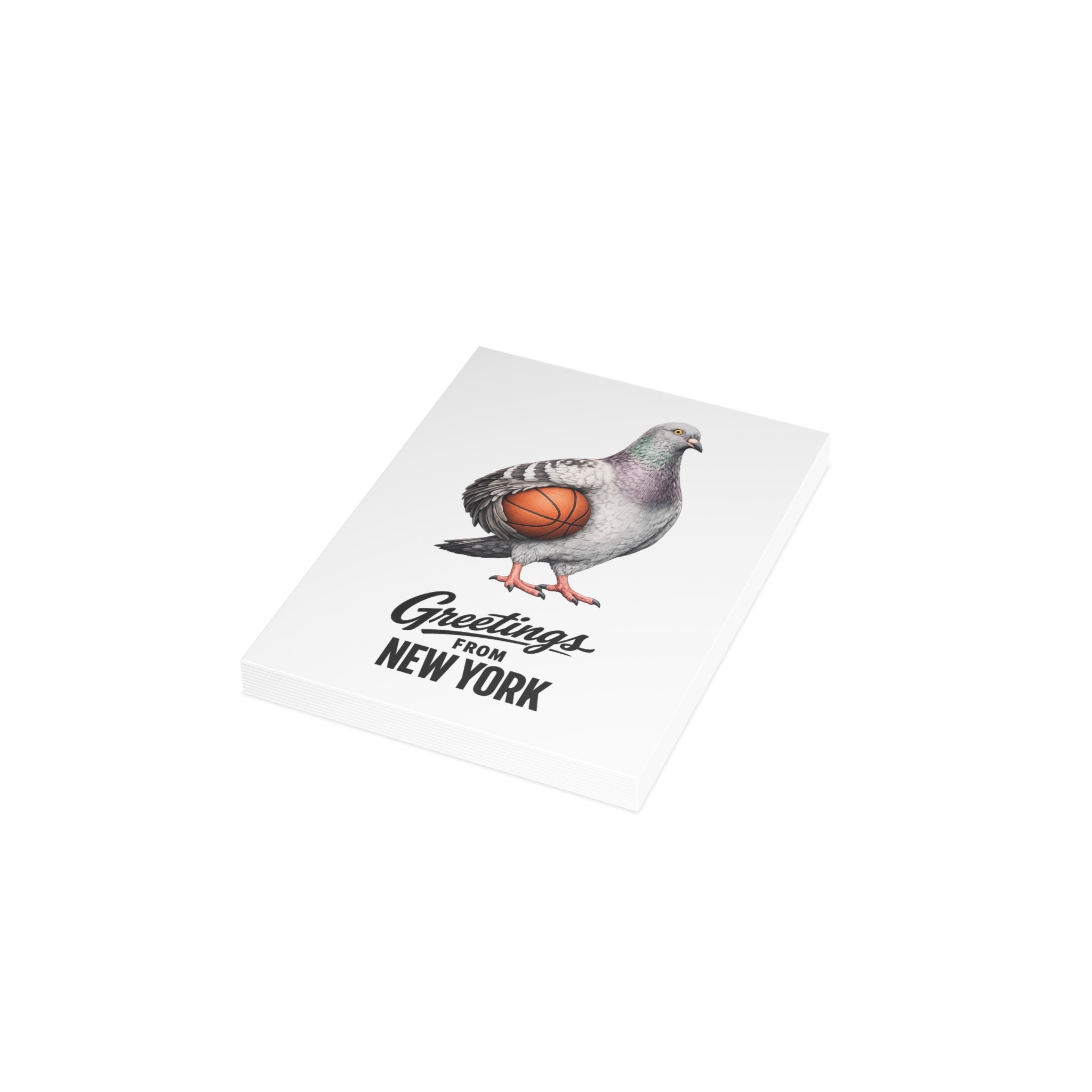 Basketball Player NYC Pigeon New York Postcard Bundle (envelopes included)