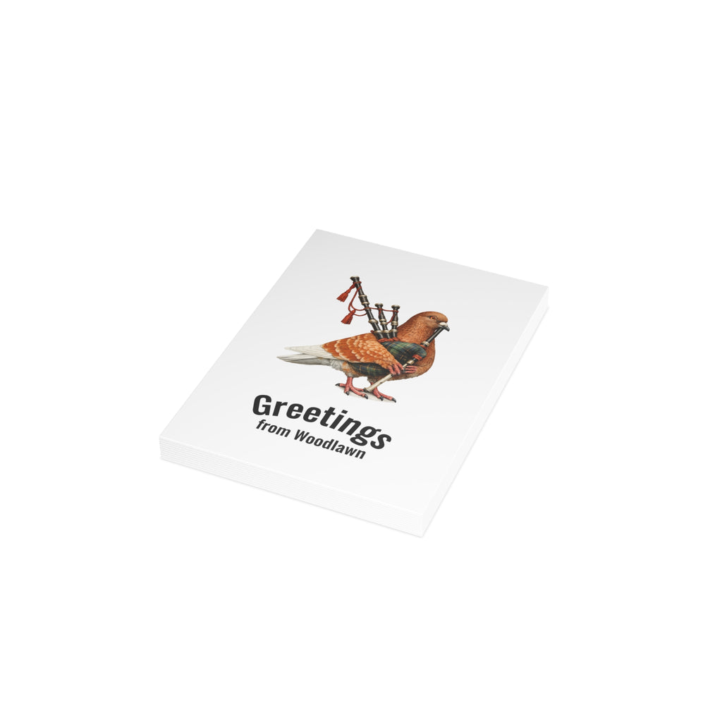 Woodlawn NYC Pigeon Postcard Bundle (envelopes included)