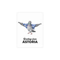 Astoria NYC Pigeon Postcard Bundle (envelopes included)
