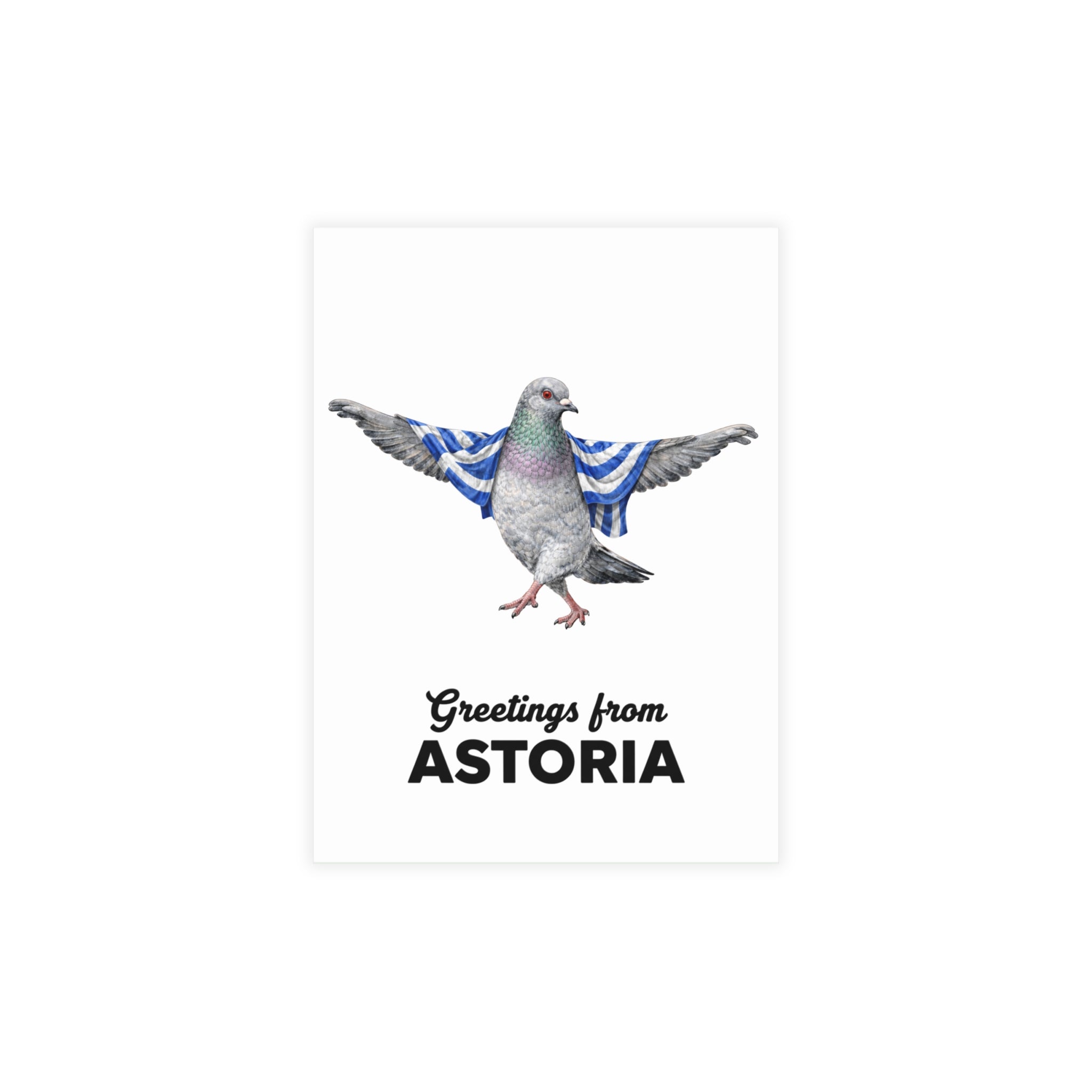 Astoria NYC Pigeon Postcard Bundle (envelopes included)