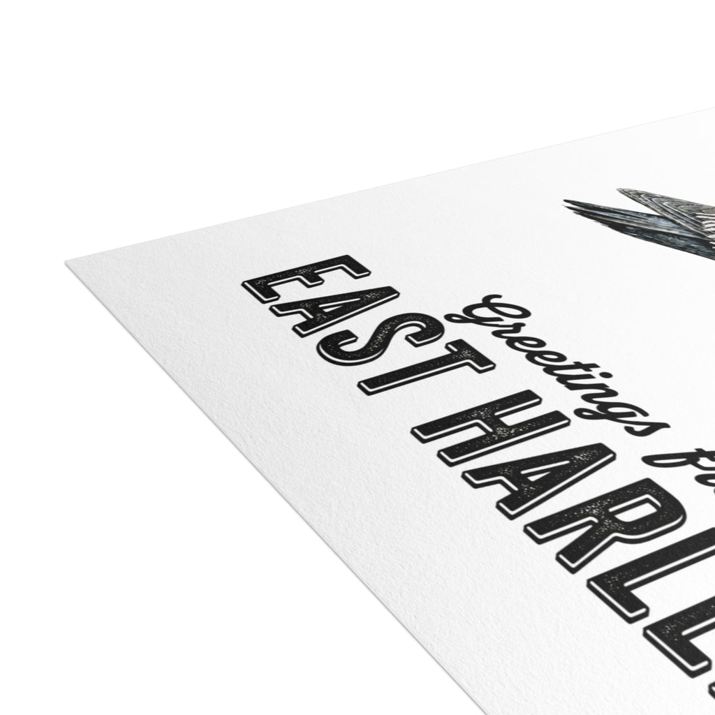 East Harlem NYC Pigeon Postcard Bundle (envelopes included)