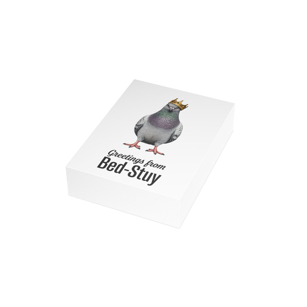 Bed-Stuy NYC Pigeon Postcard Bundle (envelopes included)