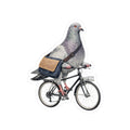 Midtown NYC Pigeon 3" x 3" Sticker