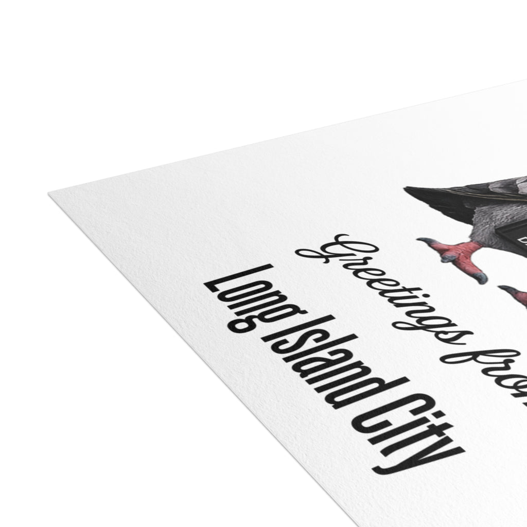 Long Island City NYC Pigeon Postcard Bundle (envelopes included)