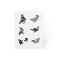 You're One Trendy Bird NYC Pigeon 4.6” x 6.25” Greeting Cards |  Pack of 10 Fashionable Stylish Bird Lover Card Pack