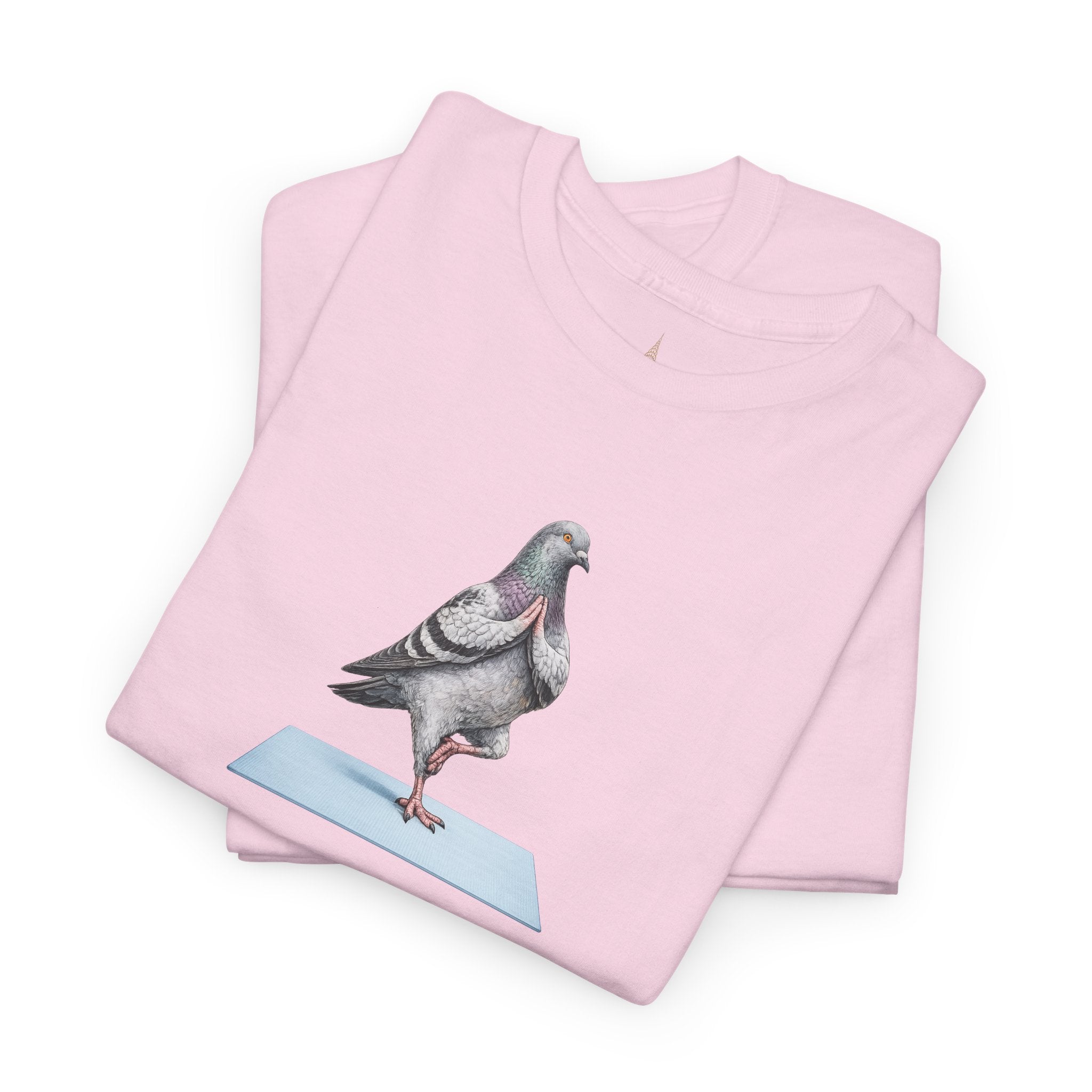 Customizable Central Park NYC Pigeon T-Shirt | Yoga Tee