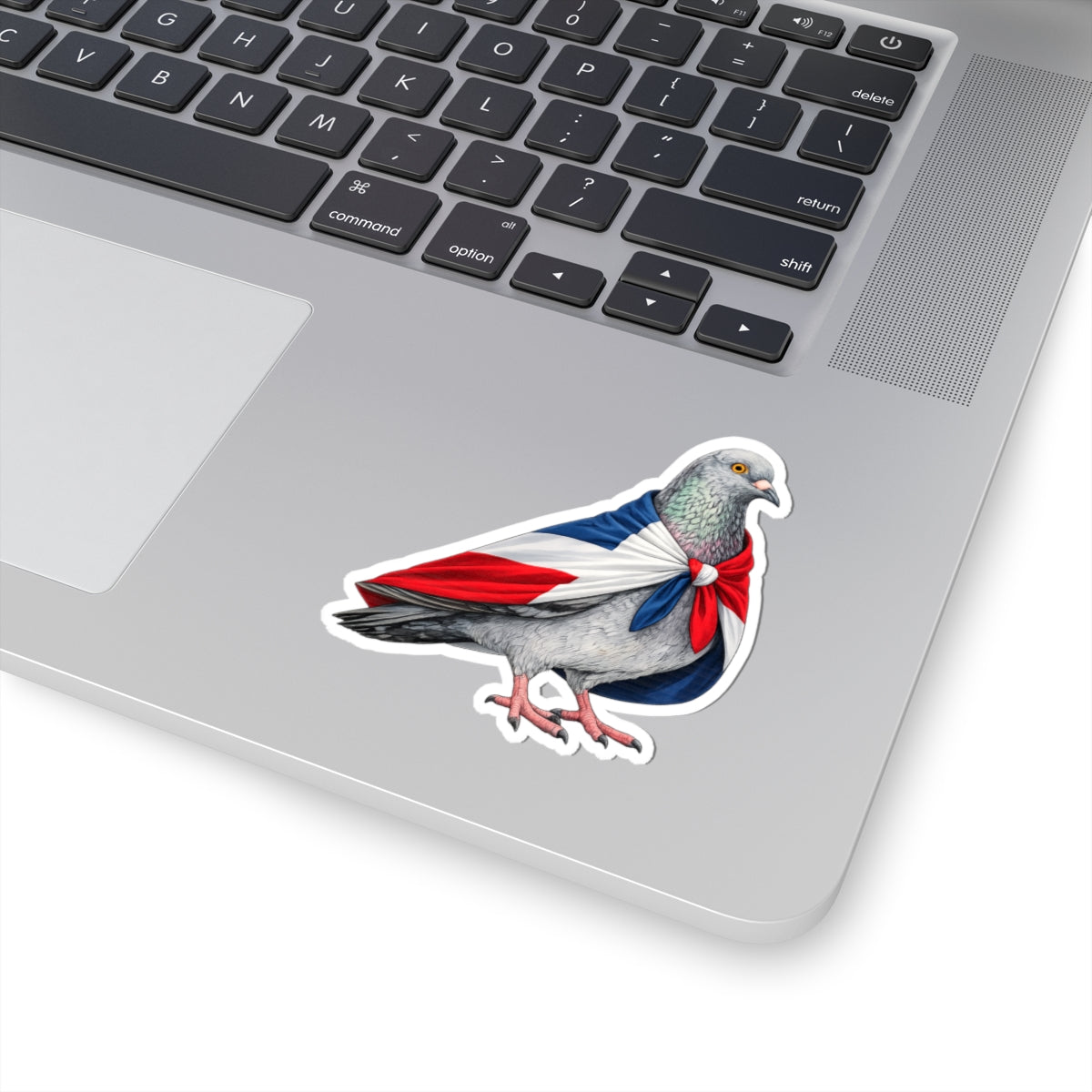 Washington Heights NYC Pigeon 3" x 3" Sticker