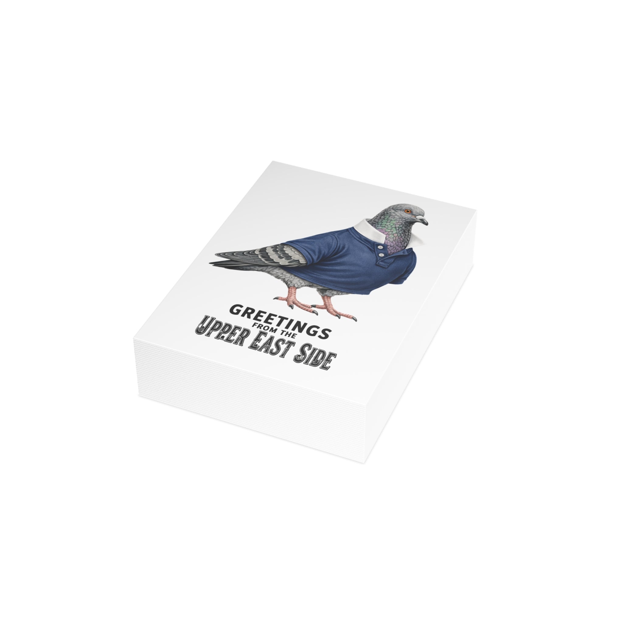 Upper East Side NYC Pigeon Postcard Bundle (envelopes included)
