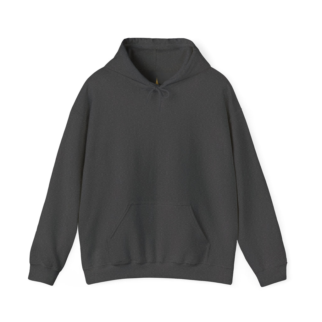 Cedarhurst Girl Hoodie – Retro Pink Wave Back Print Hooded Sweatshirt