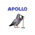 Harlem NYC Pigeon 3" x 3" Sticker