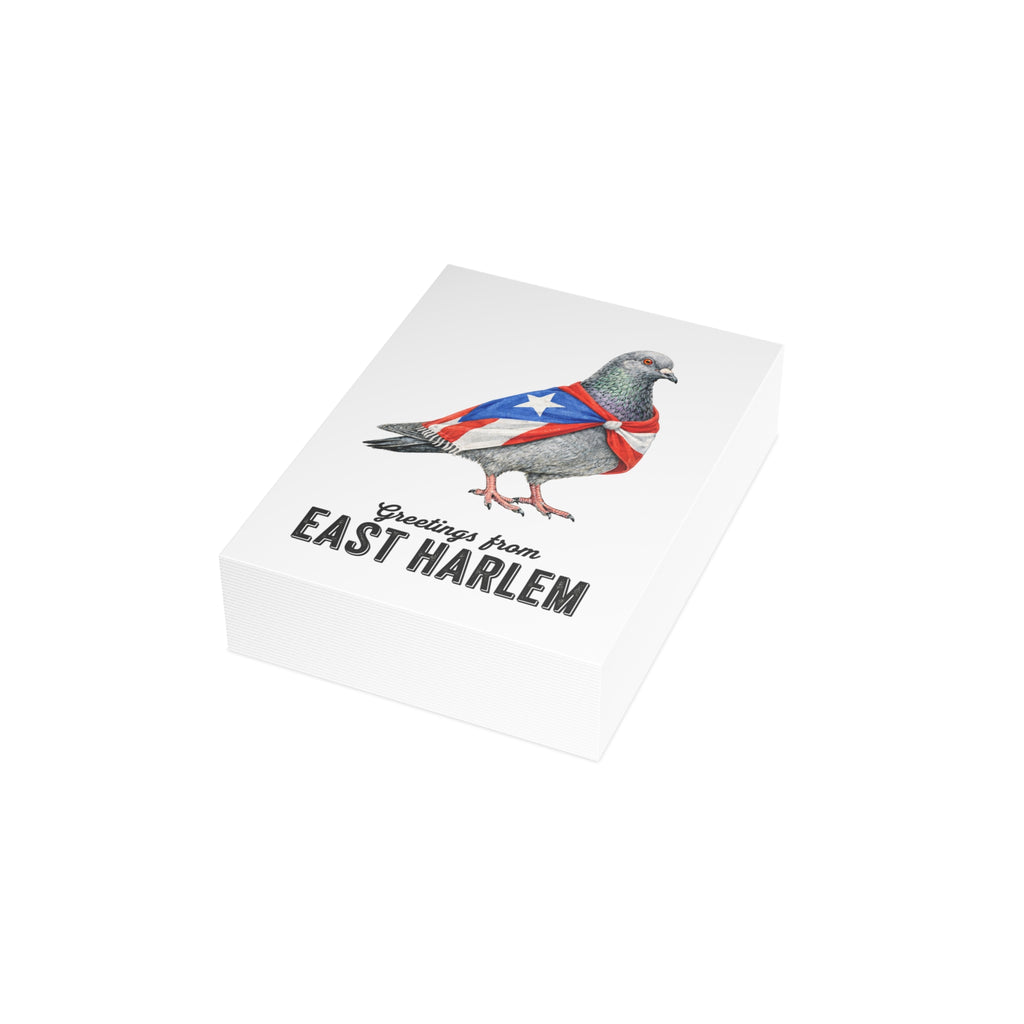 East Harlem NYC Pigeon Postcard Bundle (envelopes included)