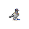 Queens NYC Pigeon Magnet | New York Baseball Fan Bird Lover Fridge Magnet