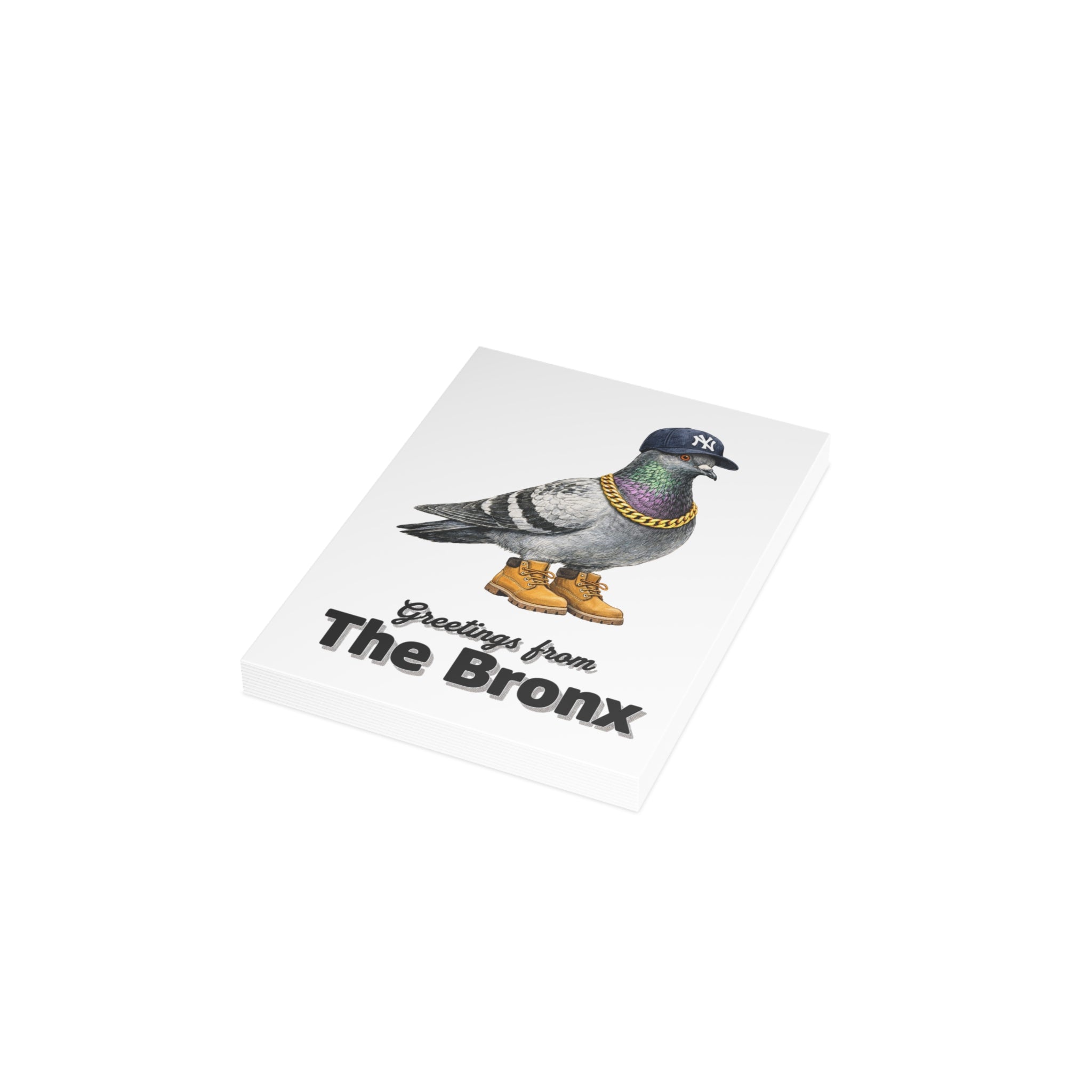 Bronx NYC Pigeon Postcard Bundle (envelopes included)