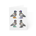 New York Sports Fan NYC Pigeon 4.6” x 6.25” Greeting Cards | Pack of 10 NY Sports Basketball Baseball  Bird Lover Card Pack