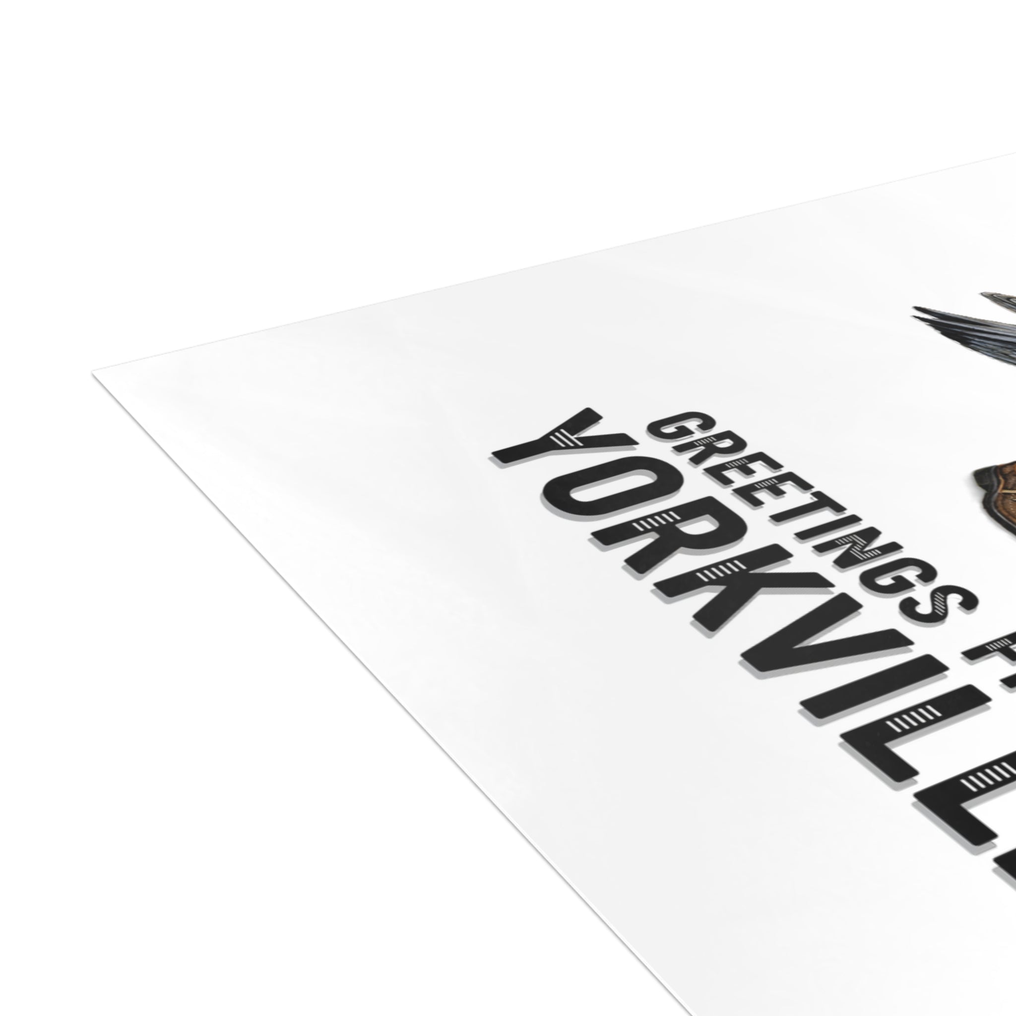 Yorkville NYC Pigeon Postcard Bundle (envelopes included)