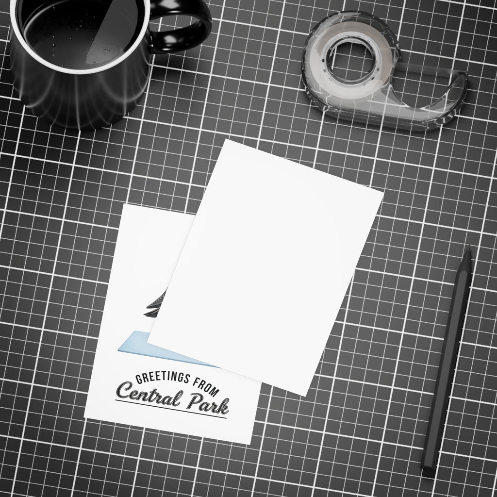 Central Park NYC Pigeon Postcard Bundle (envelopes included)