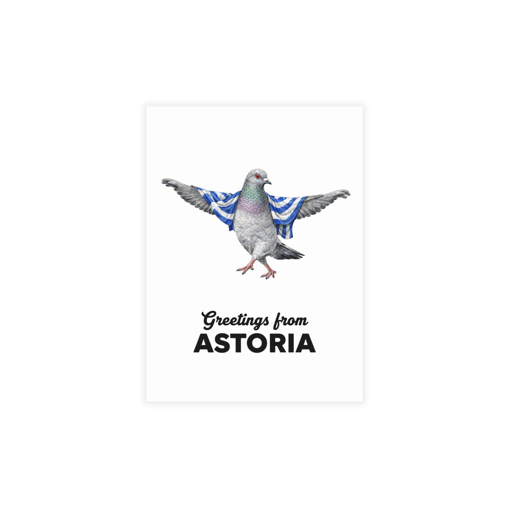 Astoria NYC Pigeon Postcard Bundle (envelopes included)