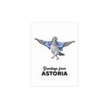 Astoria NYC Pigeon Postcard Bundle (envelopes included)