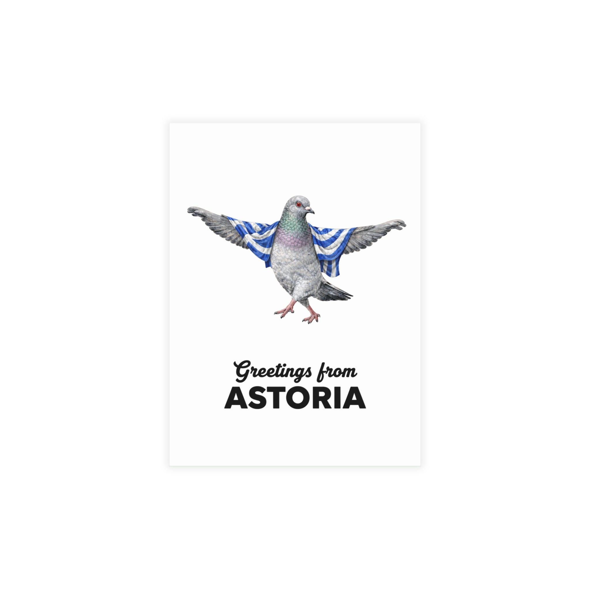 Astoria NYC Pigeon Postcard Bundle (envelopes included)
