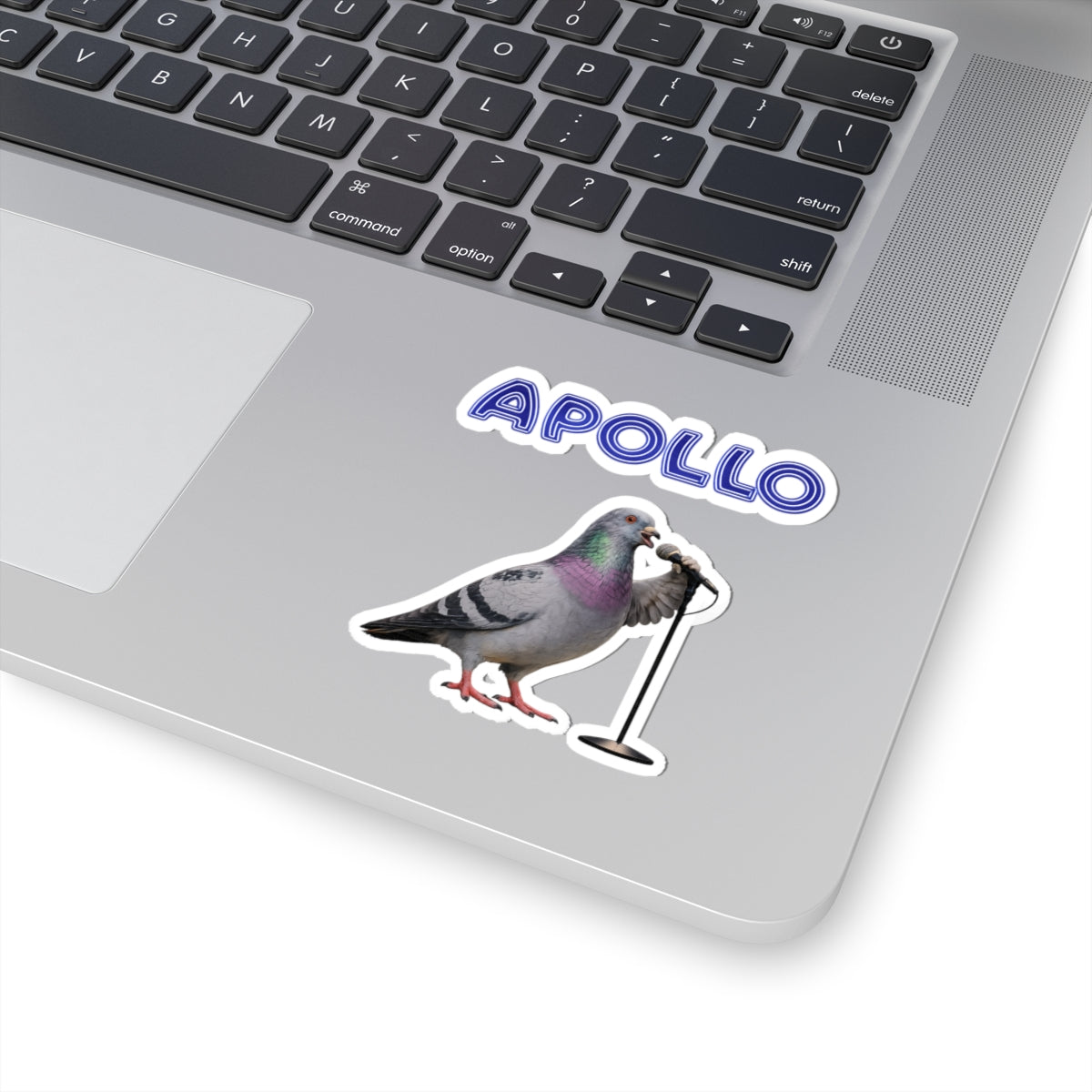 Harlem NYC Pigeon 3" x 3" Sticker