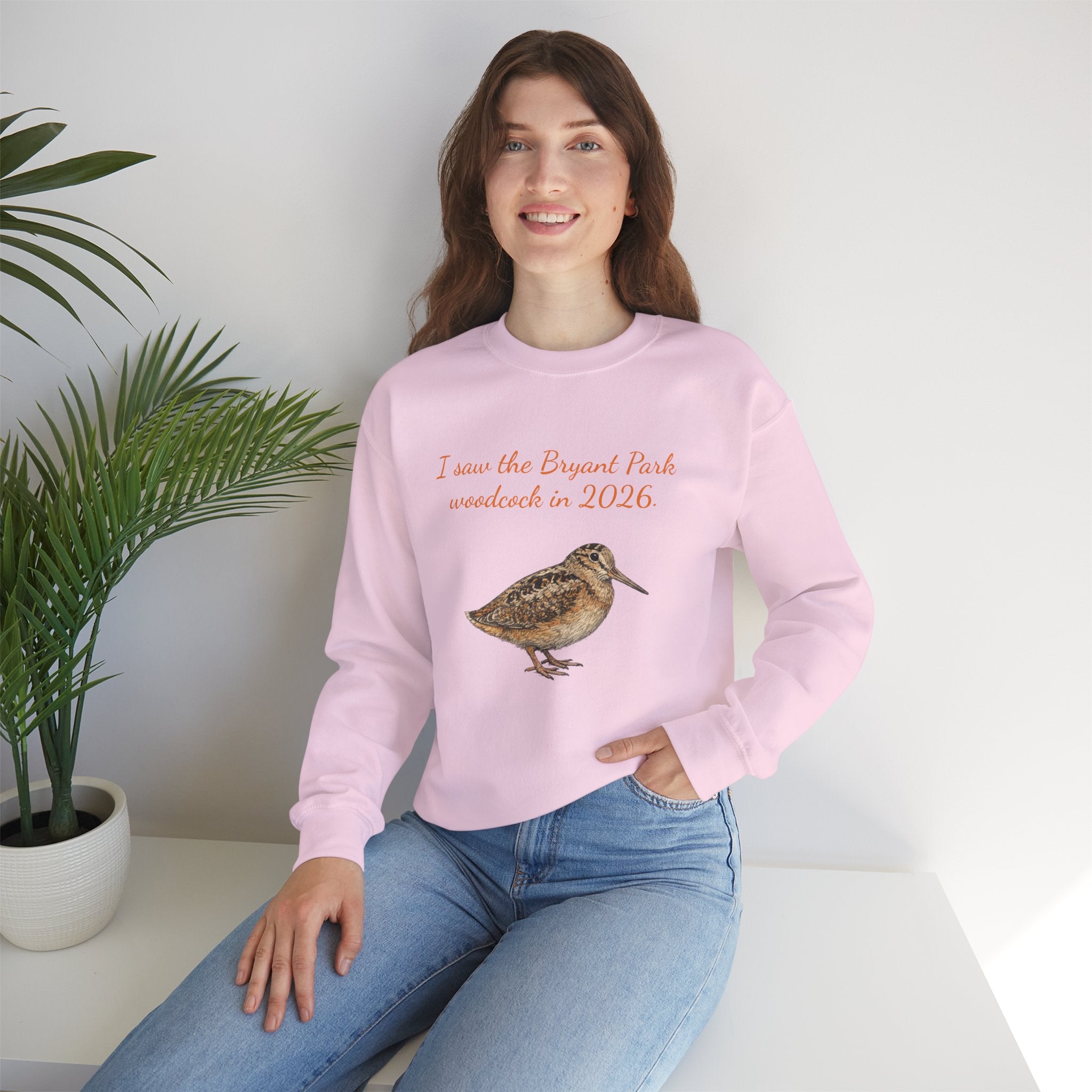 Bryant Park American Woodcock Sweatshirt | NYC Bird Lover Sweater