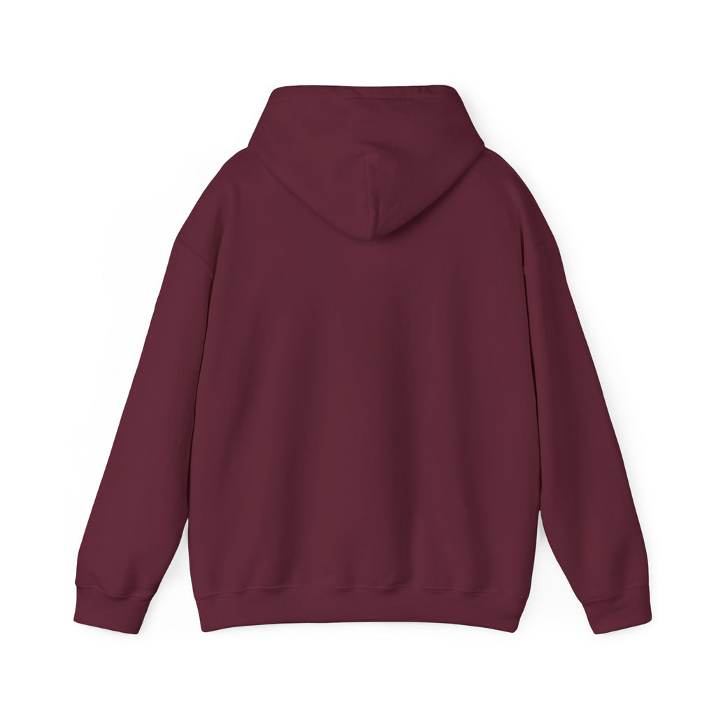 Sudadera con capucha de pájaro becada americana de Bryant Park — Sudadera con capucha para amantes de la naturaleza y la observación de aves