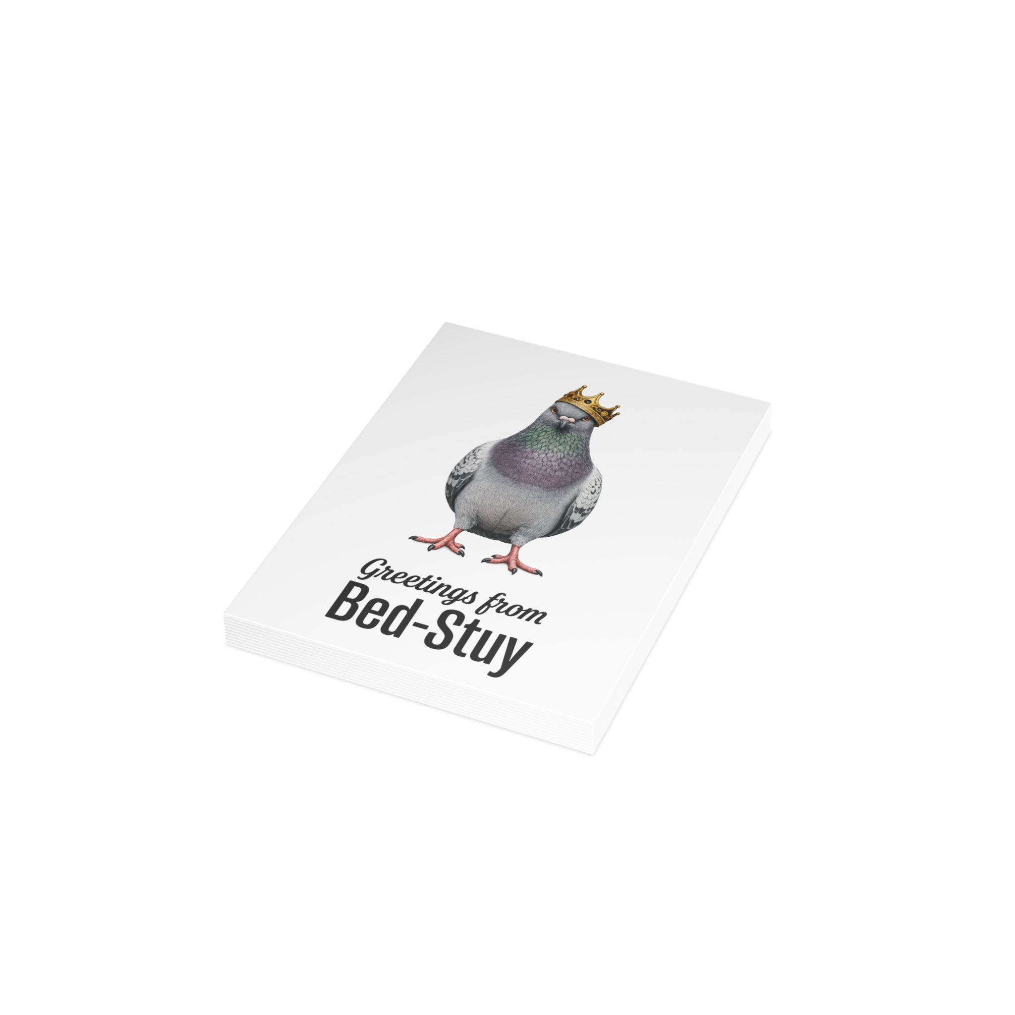 Bed-Stuy NYC Pigeon Postcard Bundle (envelopes included)