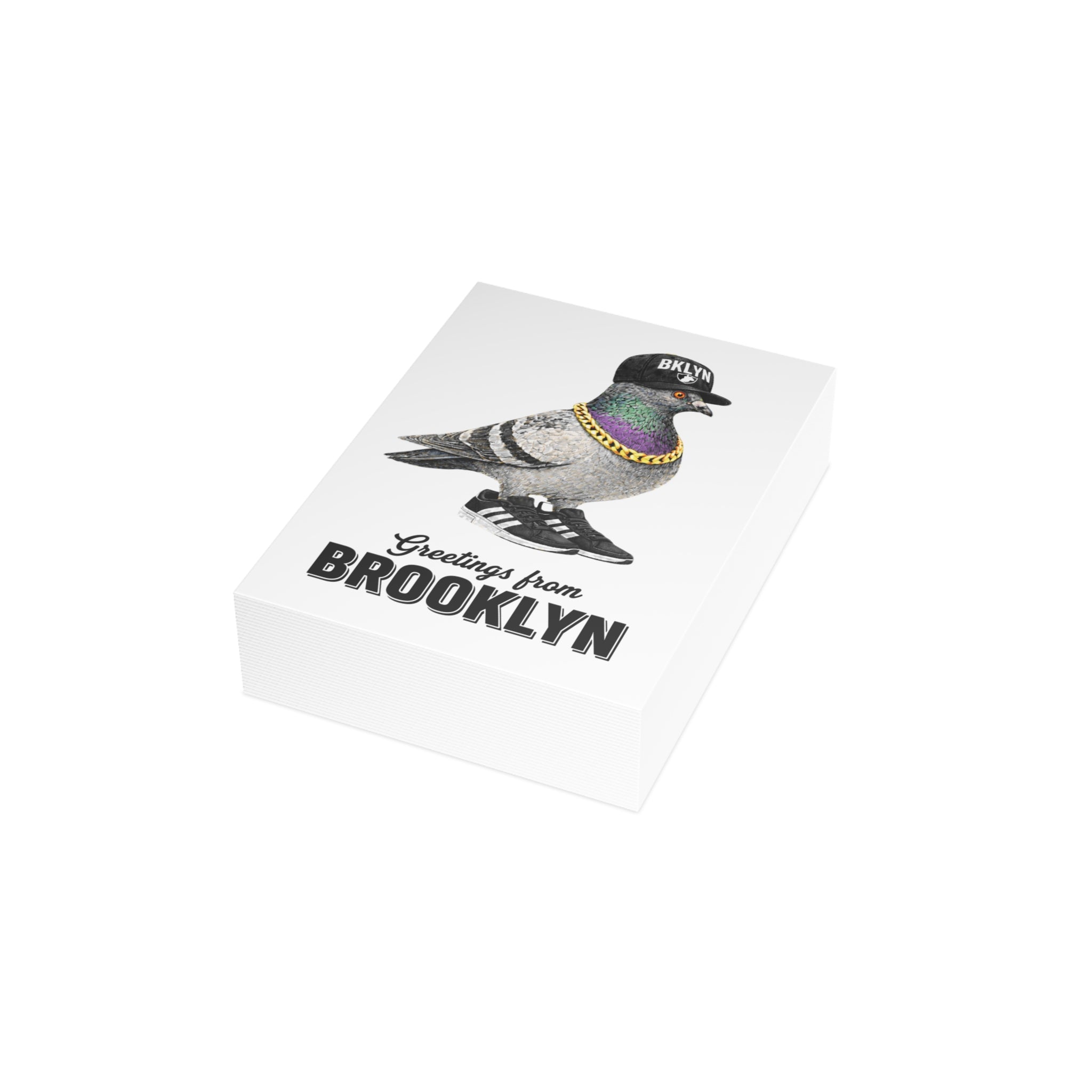 Brooklyn NYC Pigeon Postcard Bundle (envelopes included)