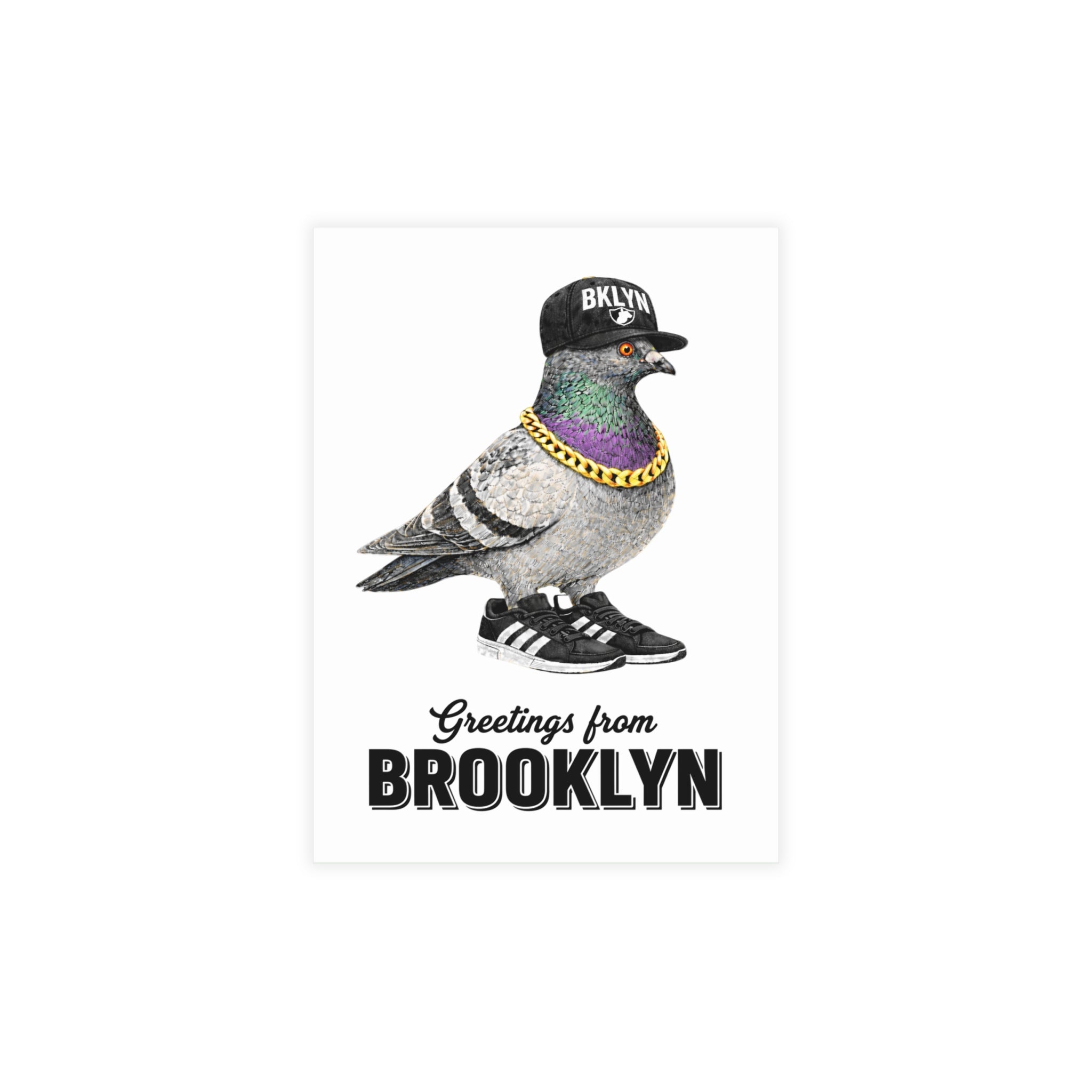 Brooklyn NYC Pigeon Postcard Bundle (envelopes included)