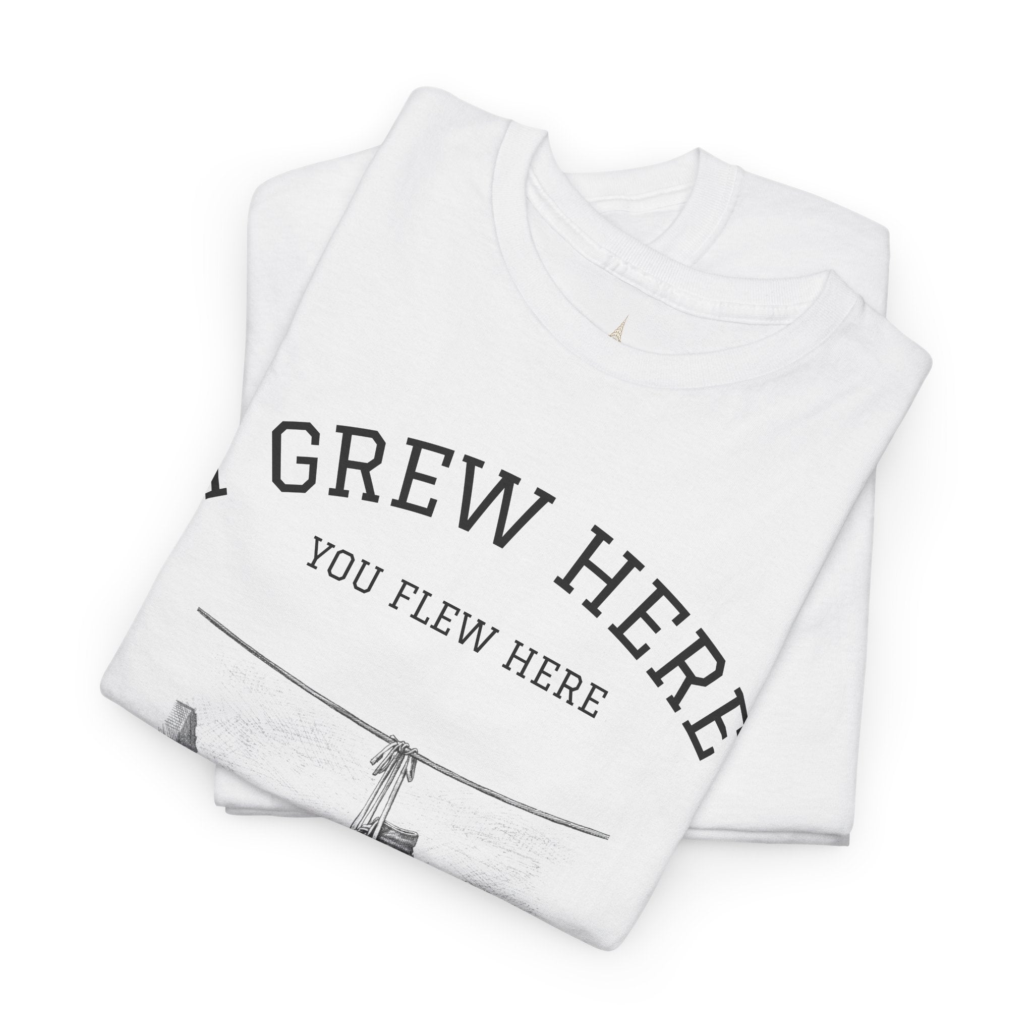New York City Skyline T-Shirt | NYC Gift I Grew Here You Flew Here Tee