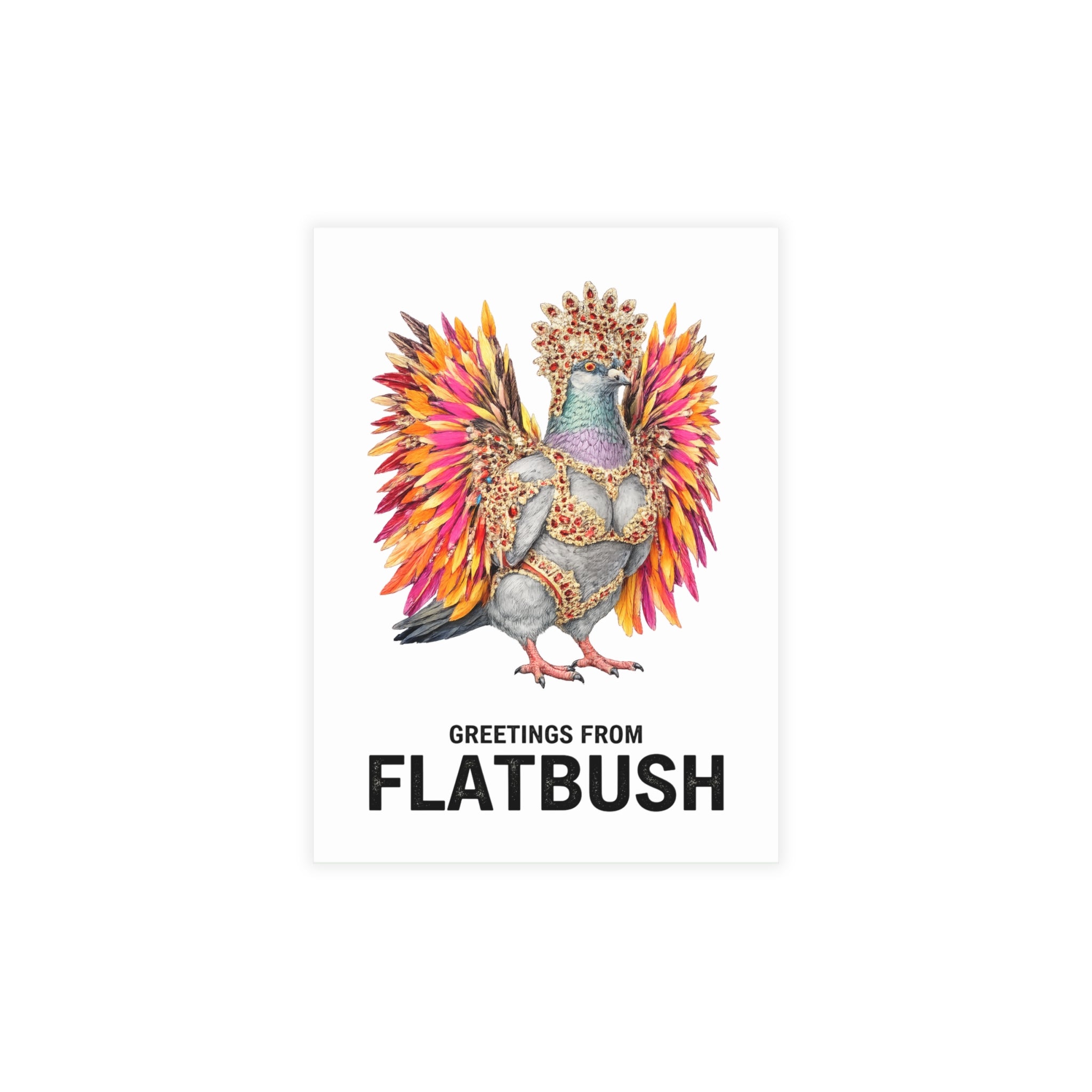 Flatbush NYC Pigeon Postcard Bundle (envelopes included)