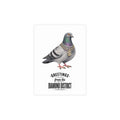 Diamond District NYC Pigeon Postcard Bundle (envelopes included)