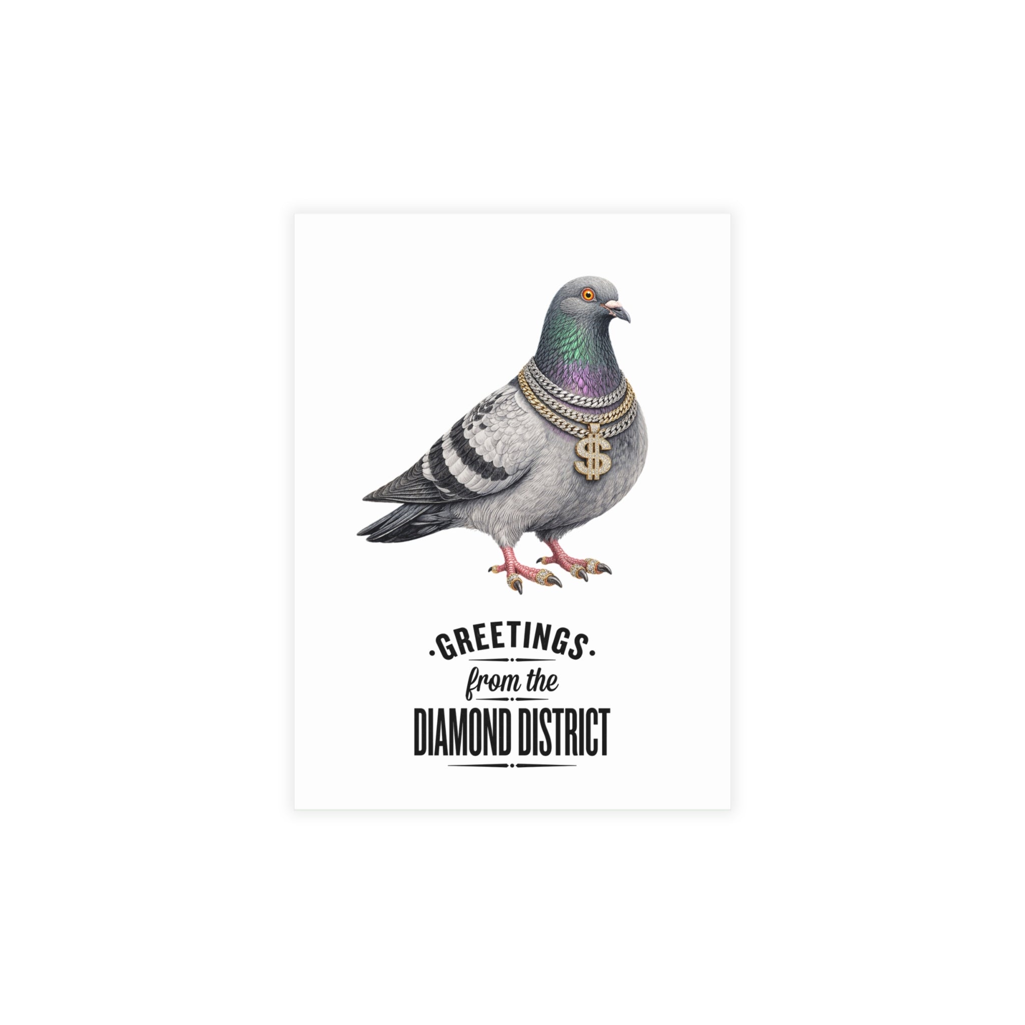 Diamond District NYC Pigeon Postcard Bundle (envelopes included)