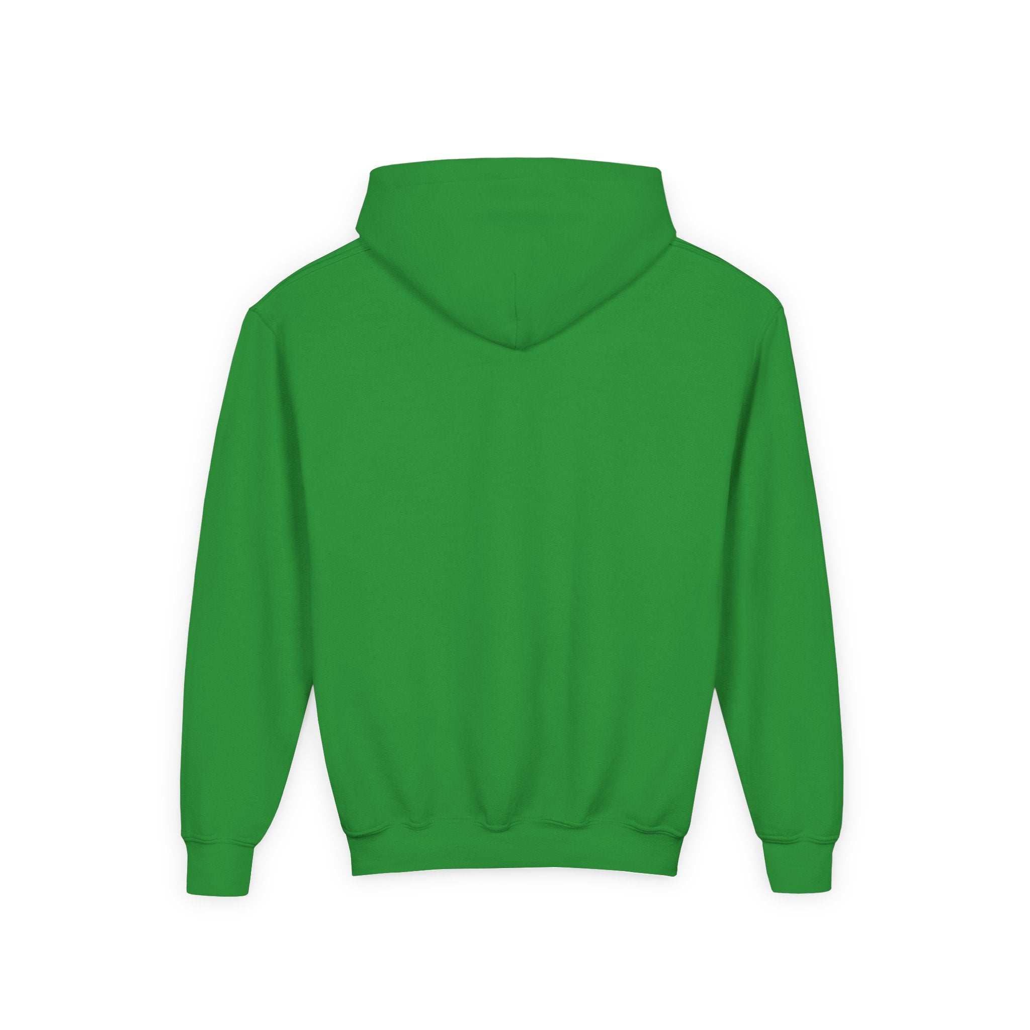 Sudadera con capucha personalizable de paloma de Corona NYC para niños | Sudadera con capucha para niños amantes de las aves y jugadores de fútbol de Nueva York