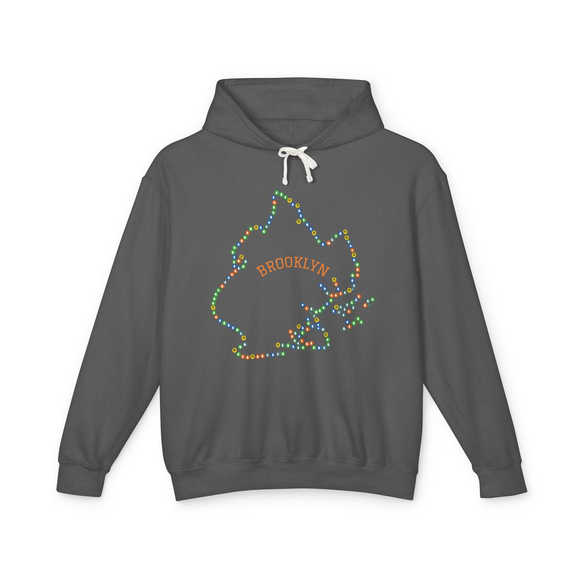 Sudadera con capucha del metro de Brooklyn | Sudadera con capucha con el contorno del distrito de Nueva York
