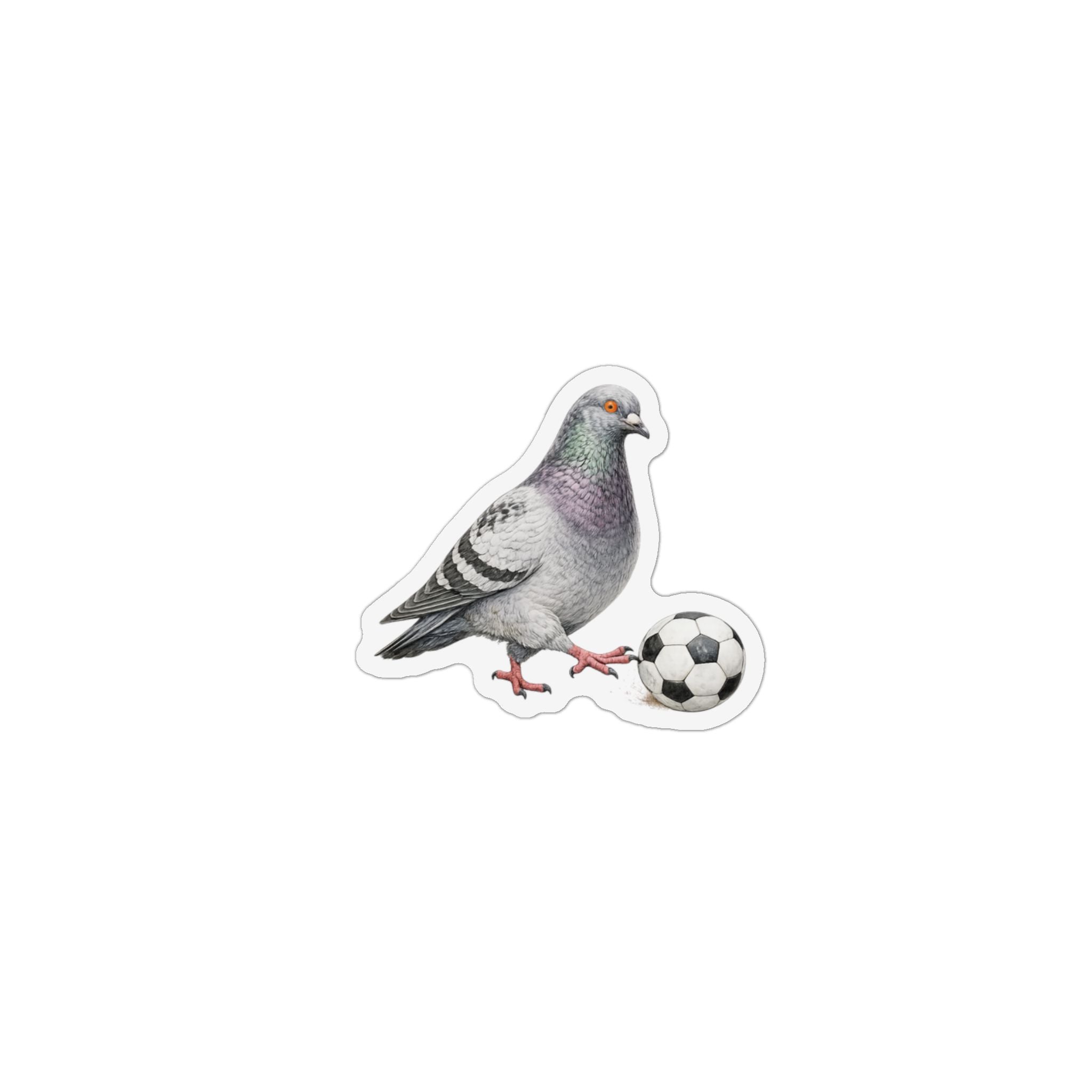 Corona NYC Pigeon Magnet | Soccer Player Futbol Bird Lover Fridge Magnet