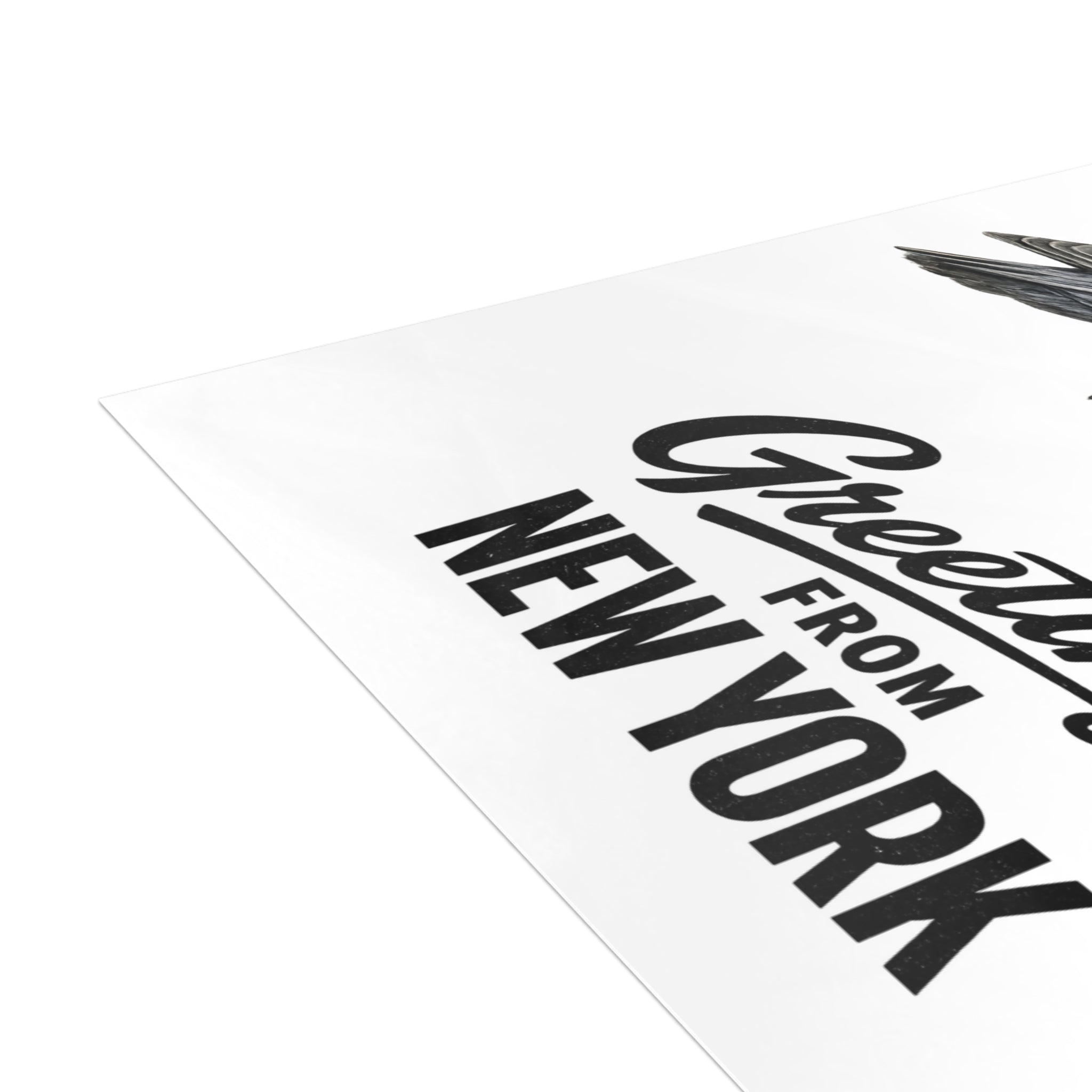 Soccer Player NYC Pigeon New York Postcard Bundle (envelopes included)