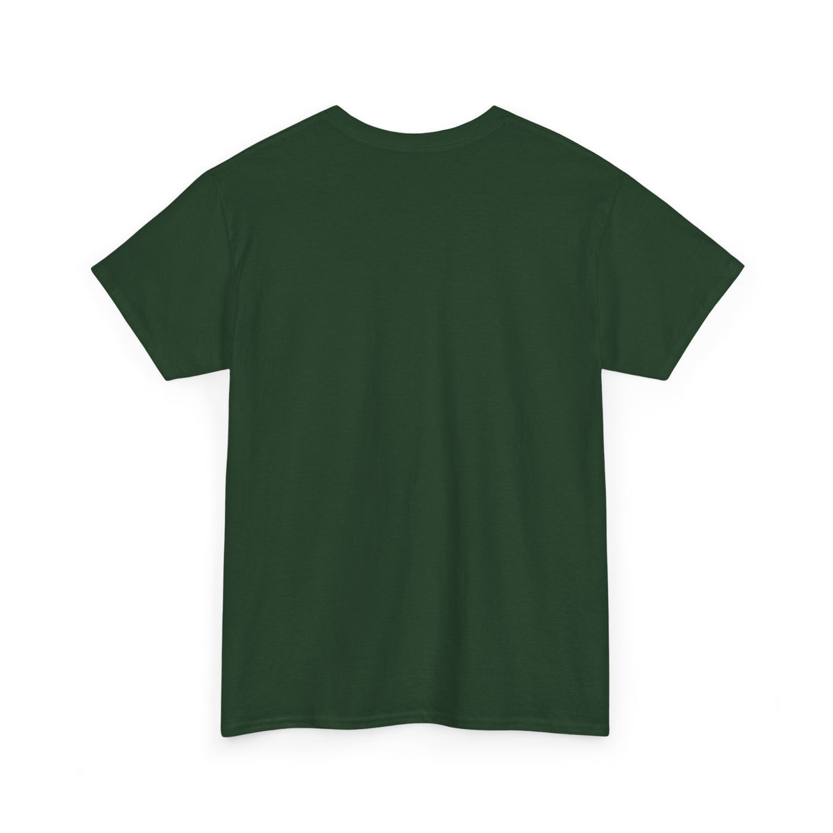 Fallsburg, NY Map T-Shirt  Catskills Upstate New York Tee