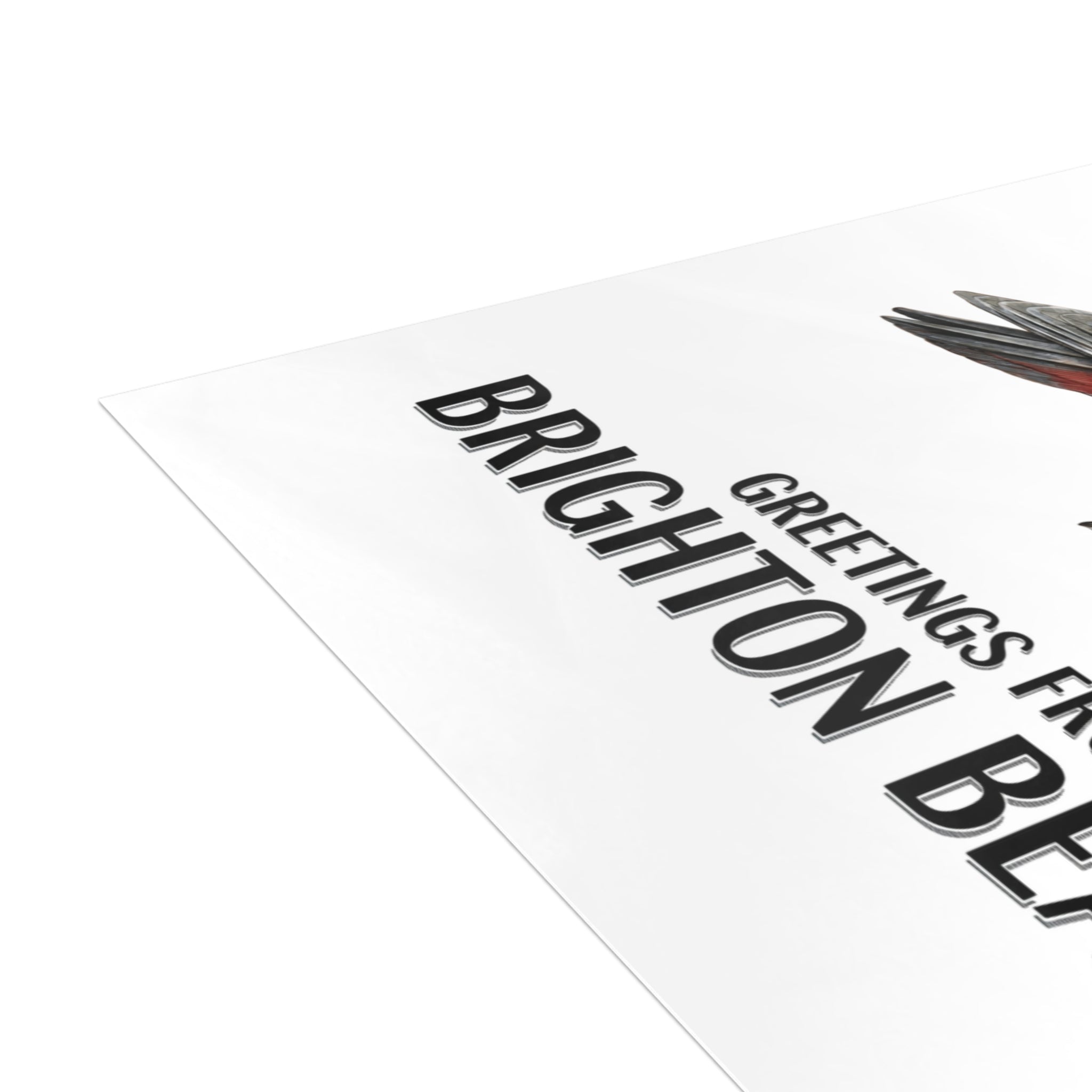 Brighton Beach NYC Pigeon Postcard Bundle (envelopes included)