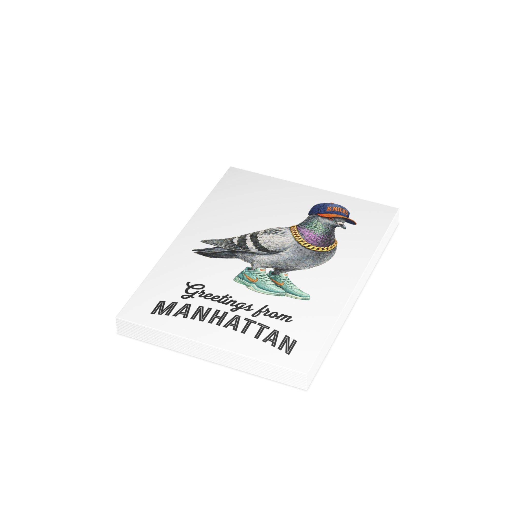 Manhattan NYC Pigeon Postcard Bundle (envelopes included)