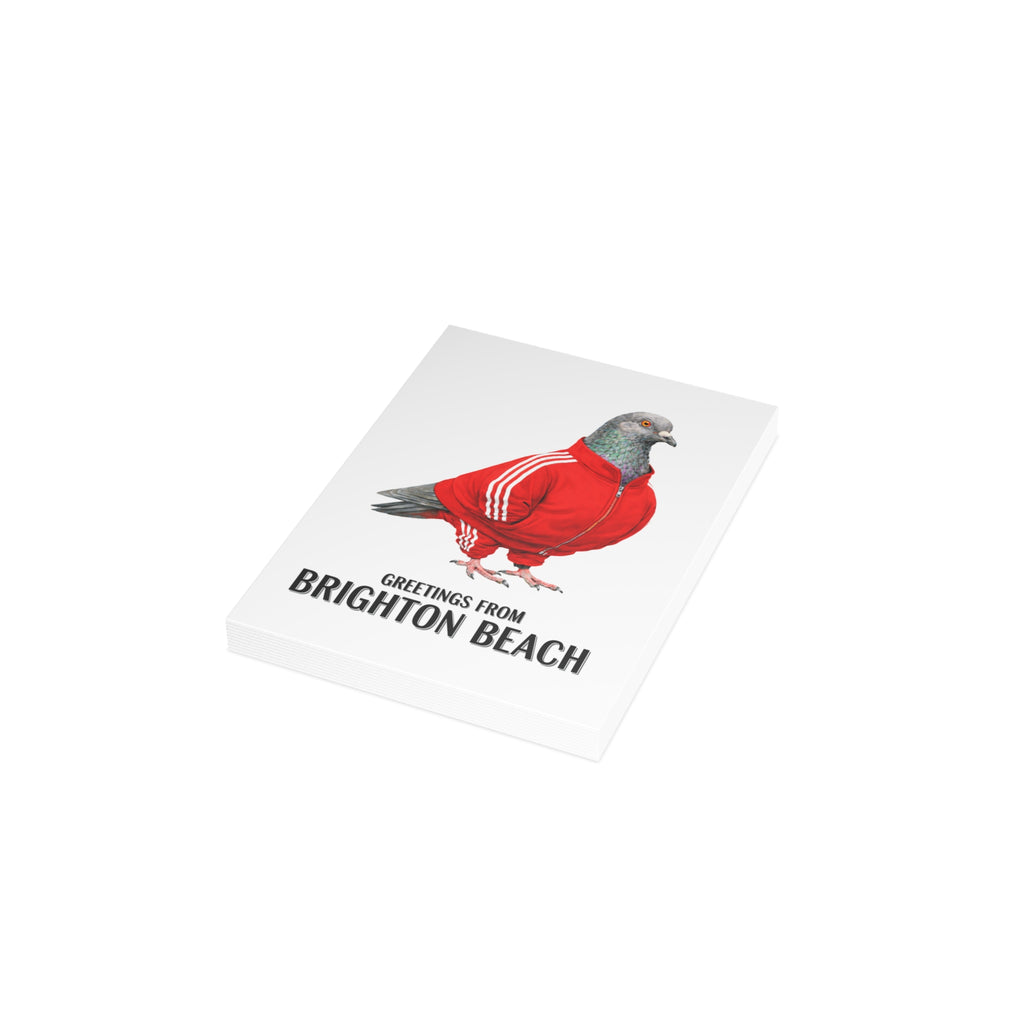 Paquete de postales de Brighton Beach, NYC, con diseño de paloma mensajera (sobres incluidos)
