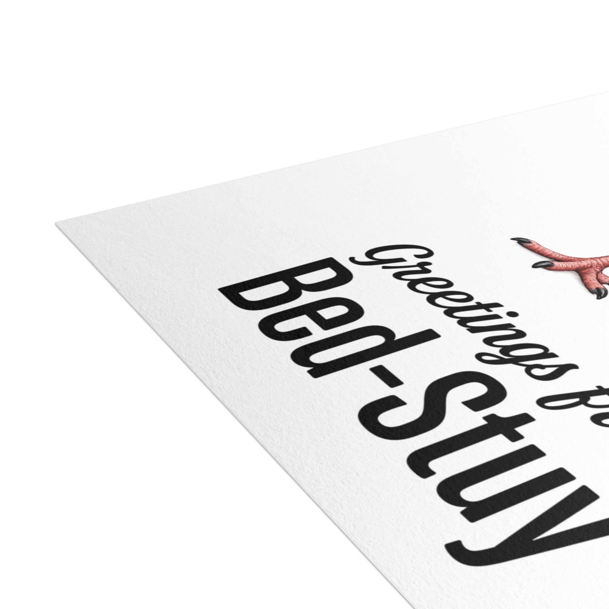 Bed-Stuy NYC Pigeon Postcard Bundle (envelopes included)