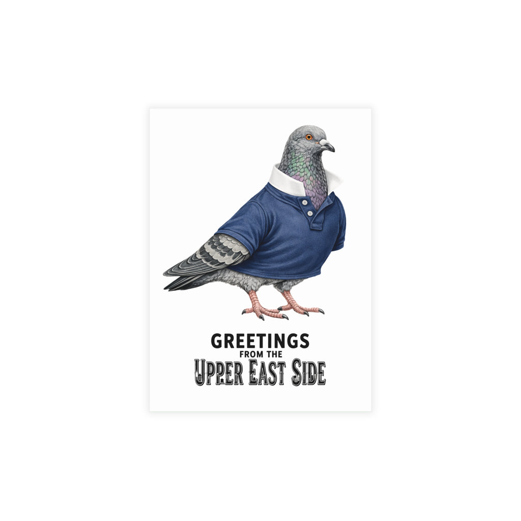 Paquete de postales de palomas del Upper East Side de Nueva York (sobres incluidos)