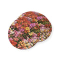 Central Park Korean Chrysanthemum Flowers Cork Back Coaster | Round Flower Pattern