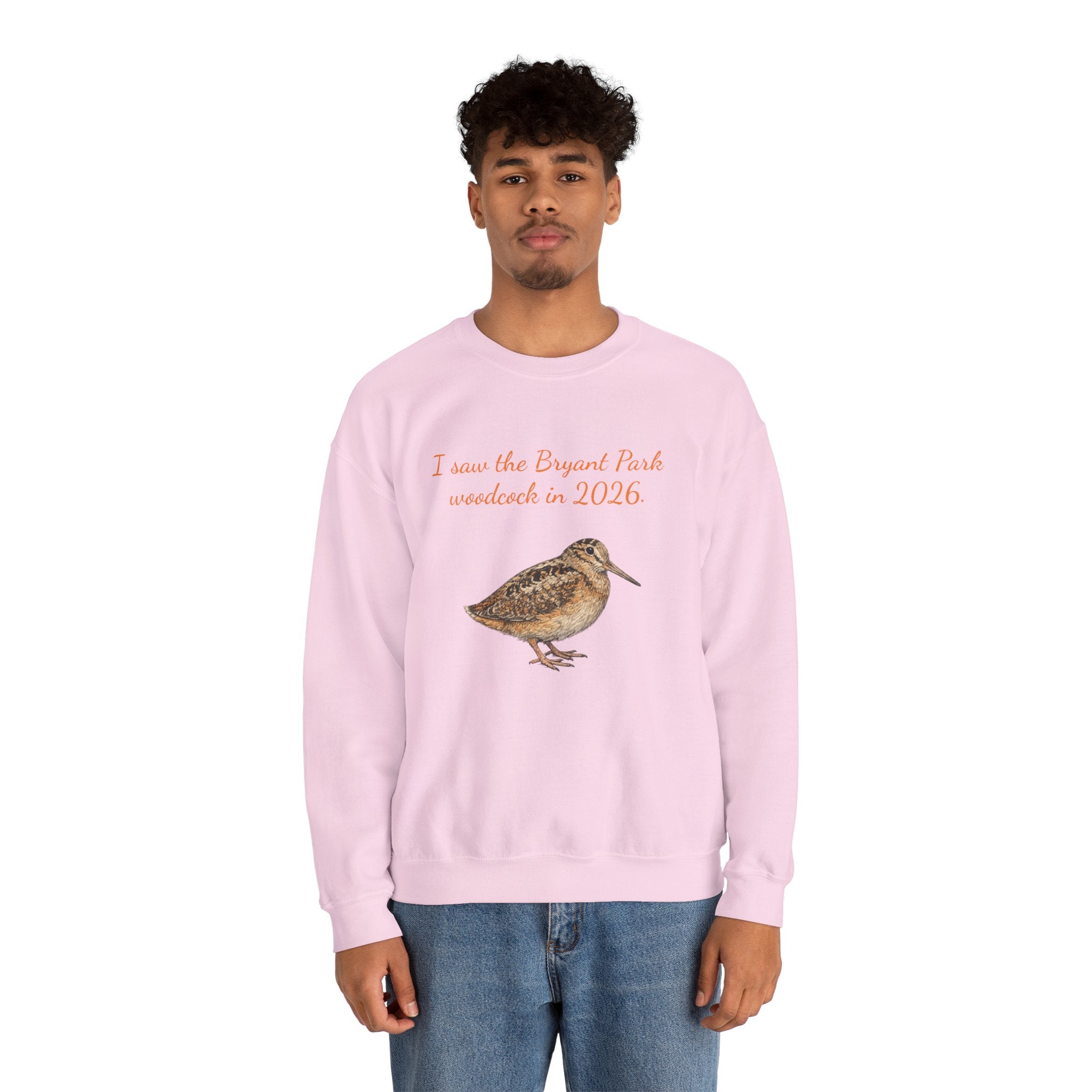 Bryant Park American Woodcock Sweatshirt | NYC Bird Lover Sweater