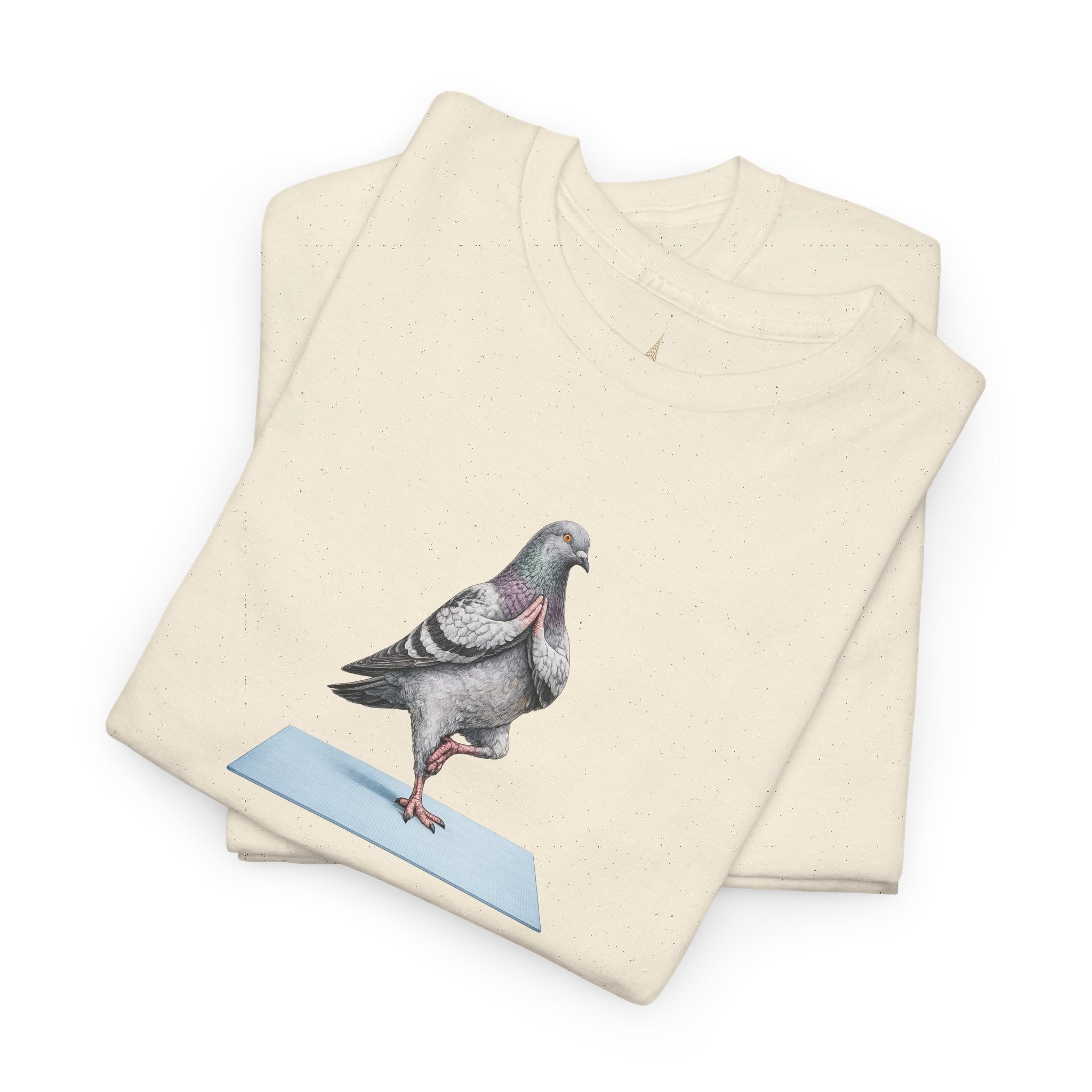 Customizable Central Park NYC Pigeon T-Shirt | Yoga Tee