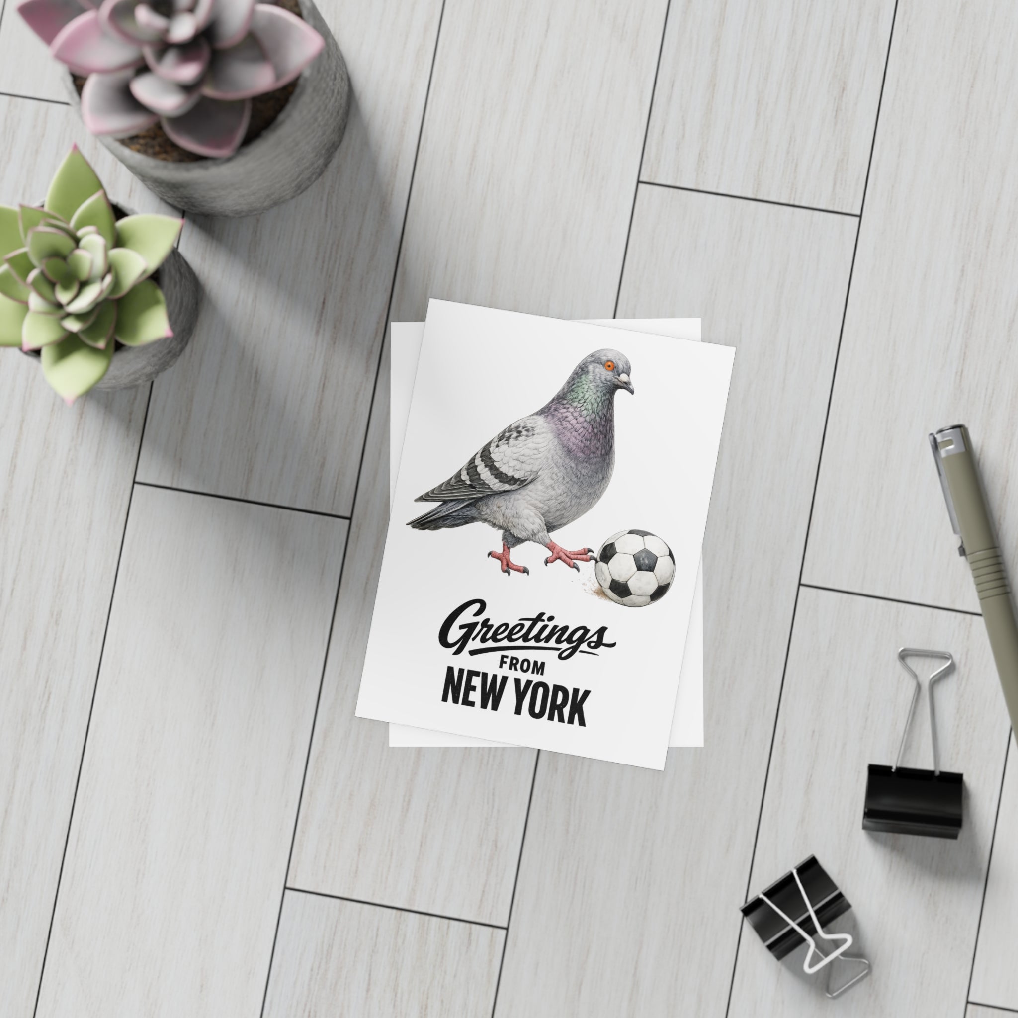 Soccer Player NYC Pigeon New York Postcard Bundle (envelopes included)